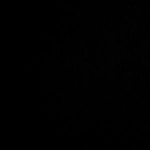 Meet your Posher, Kylie