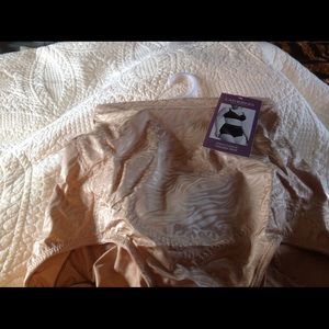 Catherine's Firm Control Brief