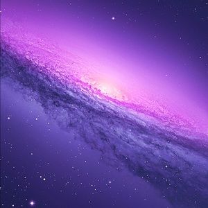 Meet your Posher, Tory