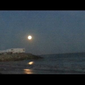 Meet your Posher, Olga