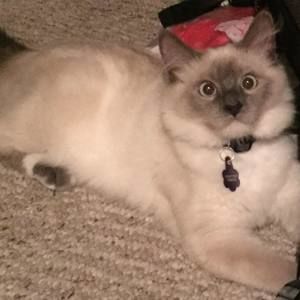 Meet your Posher, Tina