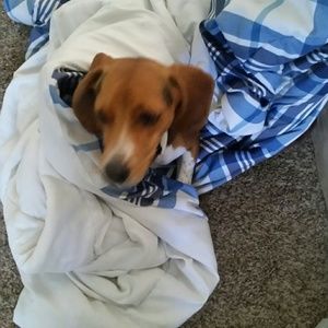 Meet your Posher, Cindy