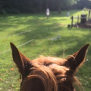 Meet your Posher, Kylie