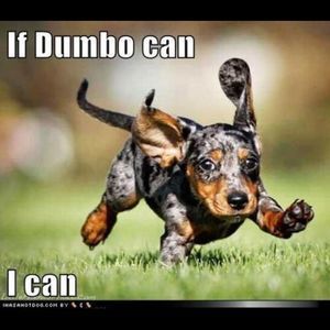 Meet your Posher, Grace