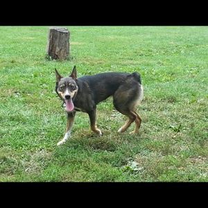 Meet your Posher, Erica