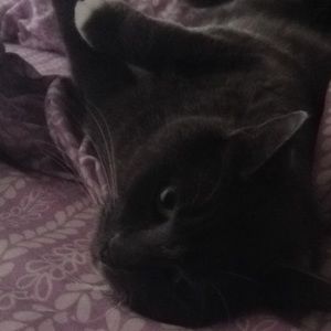 Meet your Posher, Vict