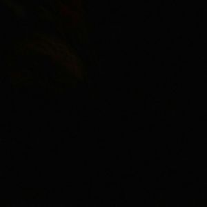 Meet your Posher, Darci