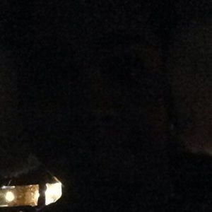 Meet your Posher, Alanis