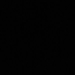 Meet your Posher, Jessie