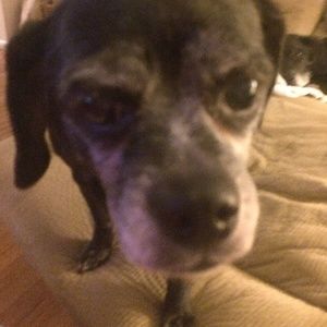 Meet your Posher, Stefanie