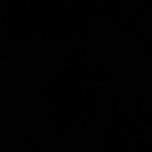 Meet your Posher, Brandi