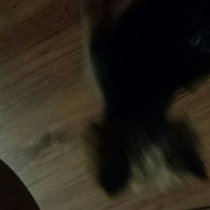 Meet your Posher, Summer