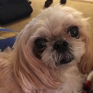 Meet your Posher, Sarah