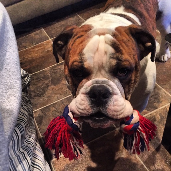 Meet your Posher, Kathleen - Picture 4 of 4