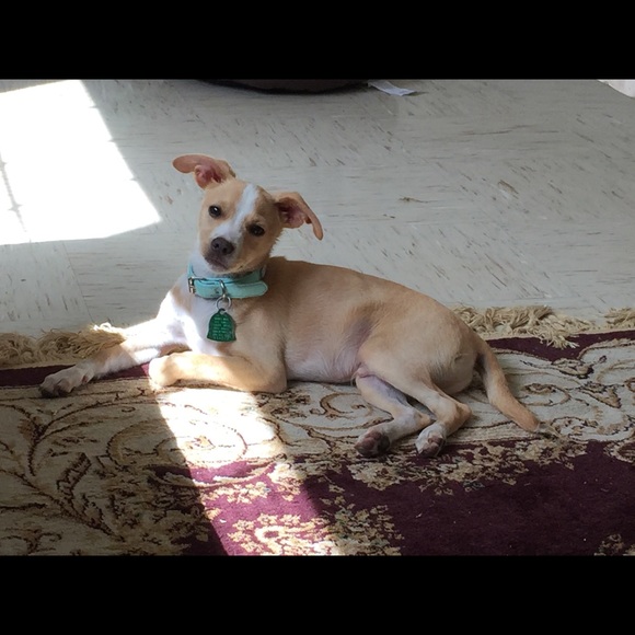 Meet your Posher, Emily - Picture 1 of 1