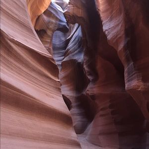 Meet your Posher, Whitney