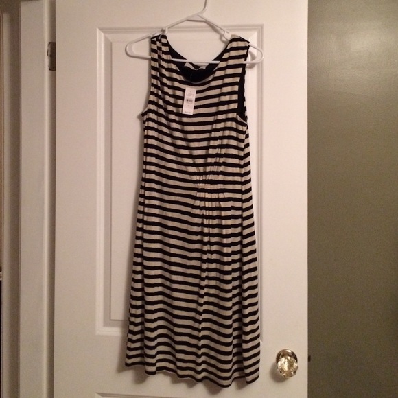 Loft Woman's Black and Cream Dress