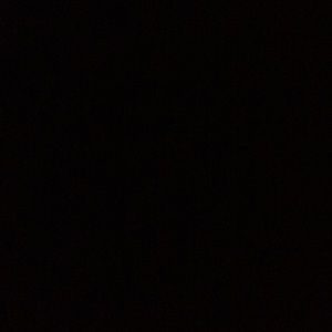 Meet your Posher, Reyna