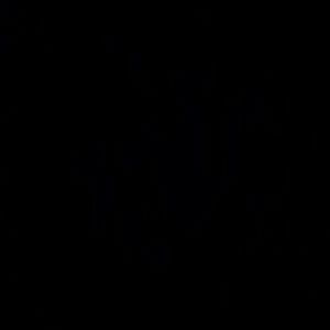 Meet your Posher, Stanika