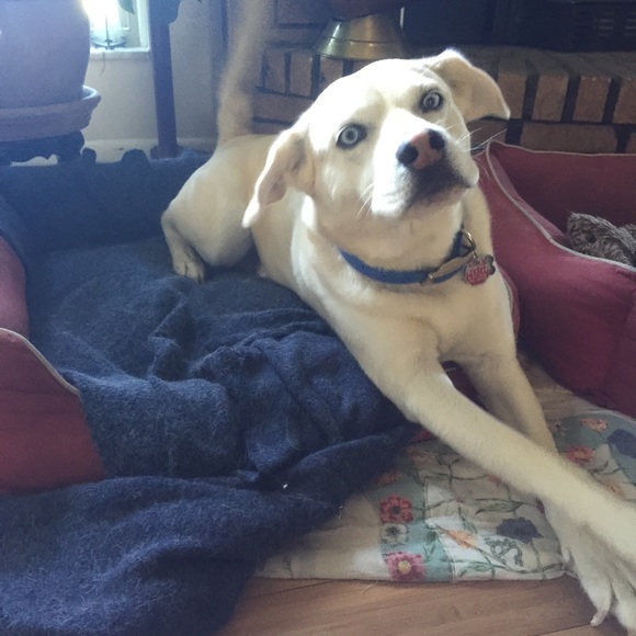 Everything - Picture 3 of 4