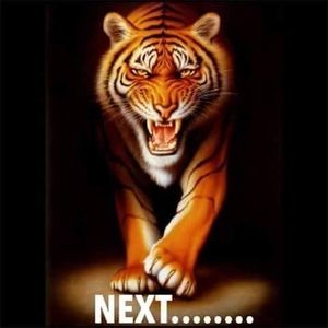 Meet your Posher, Stacy