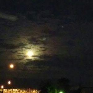 Meet your Posher, Evelin