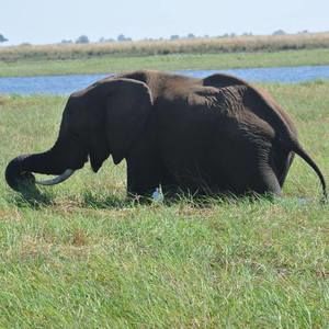 Meet your Posher, Meghan