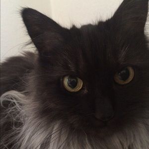 Meet your Posher, Mary