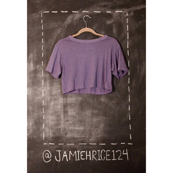 🎉HP!!🎉 American Apparel Purple Crop Top