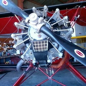 Meet your Posher, Floyd