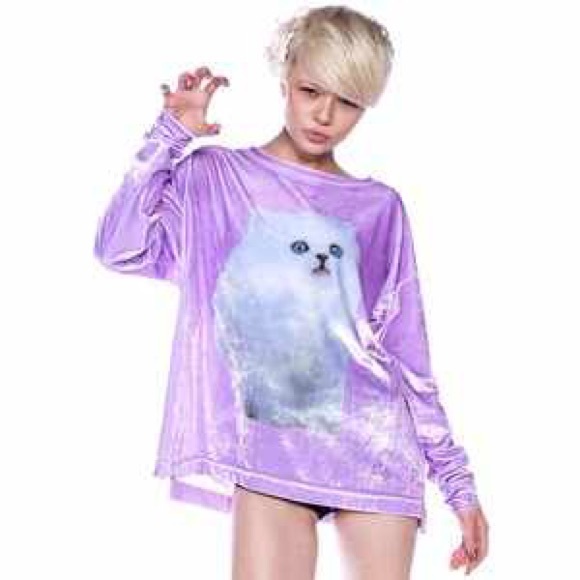 ISO Wildfox Cloud Kitten Sweater