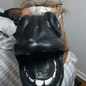 Meet your Posher, Noah