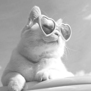 Meet your Posher, Josee