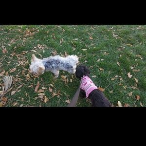 Meet your Posher, Sara