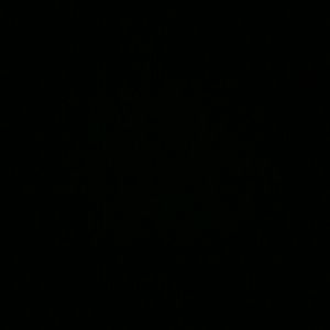 Meet your Posher, Cory