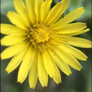 Meet your Posher, Alexa