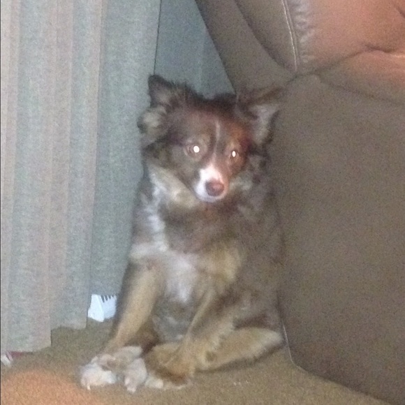 Meet your Posher, Terri