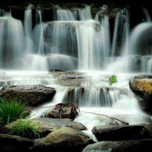 Meet your Posher, Griselda