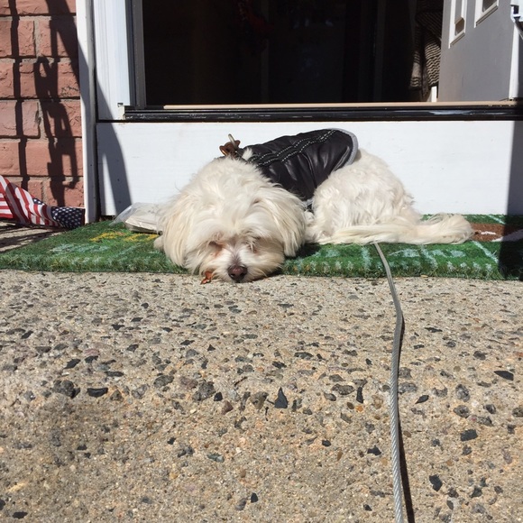 Meet your Posher, Melissa