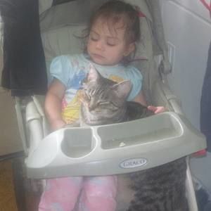 Meet your Posher, Marjorie