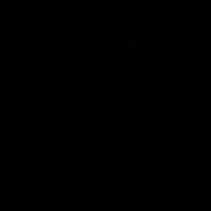 Meet your Posher, Bridgette