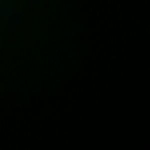 Meet your Posher, Darby