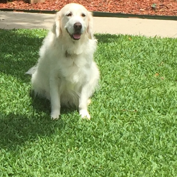 Hi, I'm Emily! - Picture 2 of 3