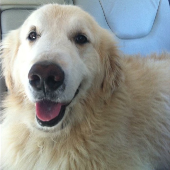 Hi, I'm Emily! - Picture 3 of 3