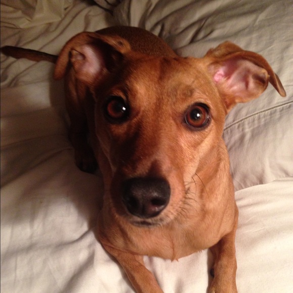 Meet your Posher, Sherri - Picture 1 of 1