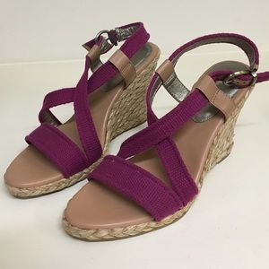 Magenta wedges