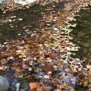 Meet your Posher, Bethany