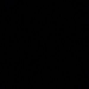 Meet your Posher, Rowsha