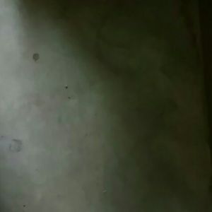 Meet your Posher, Bianca