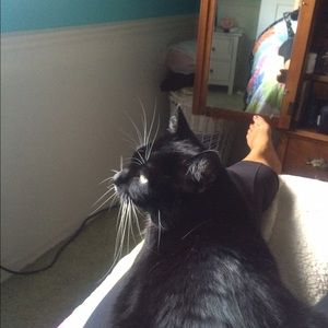 Meet your Posher, Tessa